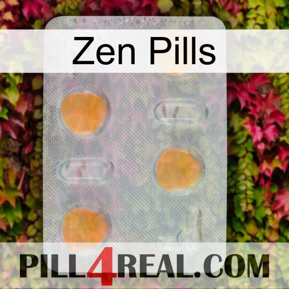 Zen Pills 24.jpg